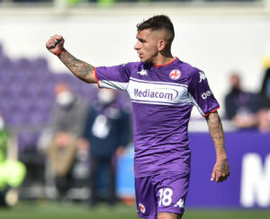 Torreira