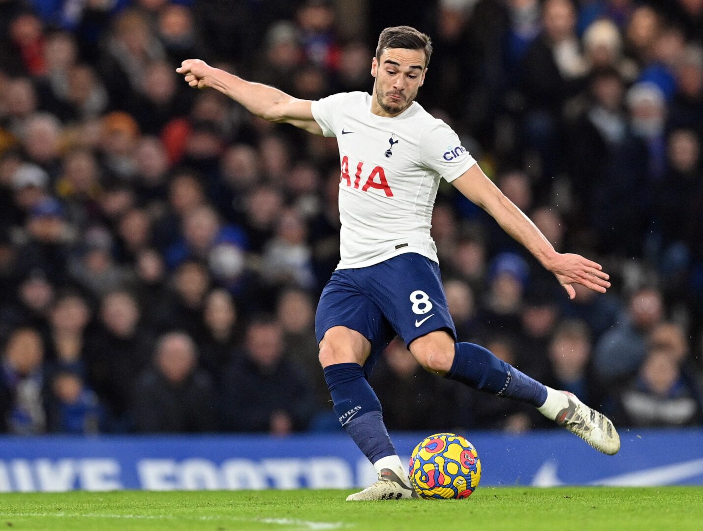 Everton an Harry Winks von Tottenham Hotspur interessiert
