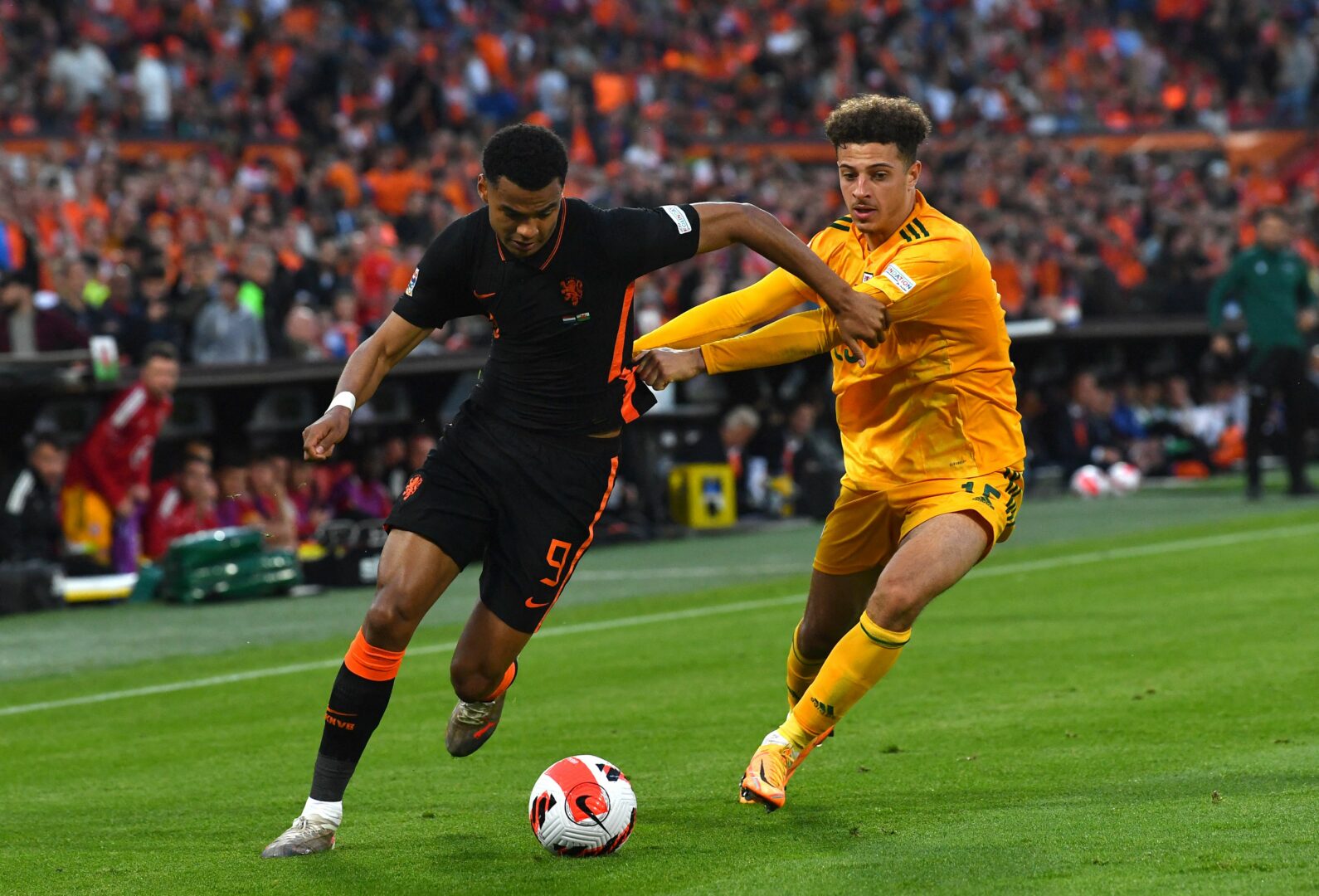 Manchester United mit Interesse an Cody Gakpo