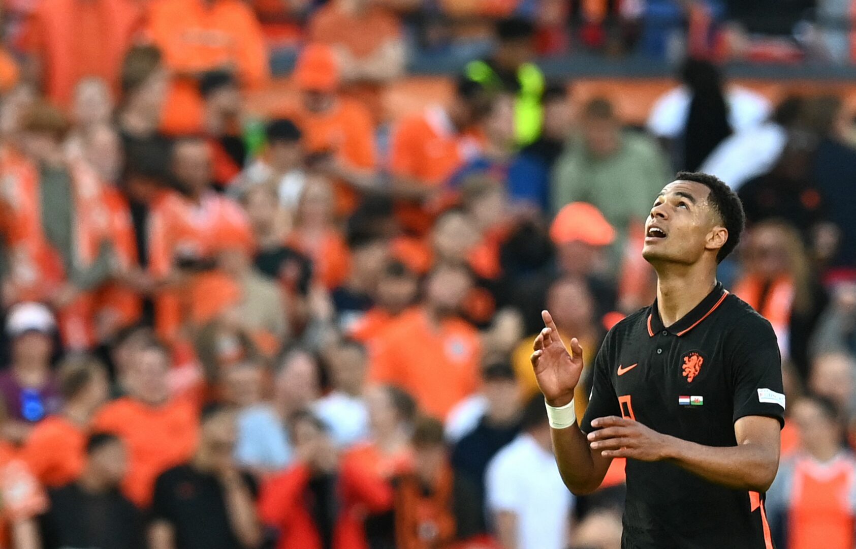 Cody Gakpo könnte zu Manchester United wechseln.