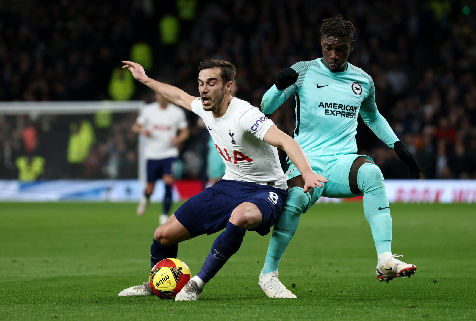 Tottenham: Harry Winks vor Leihe zu Sampdoria