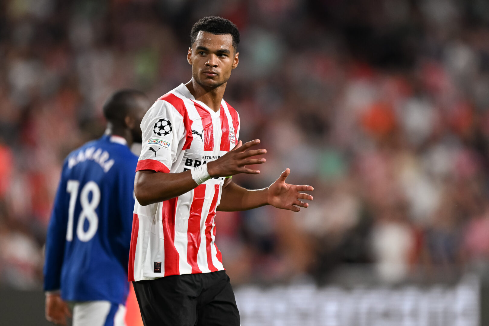 PSV behält Gakpo – Leeds und Southampton gehen leer aus