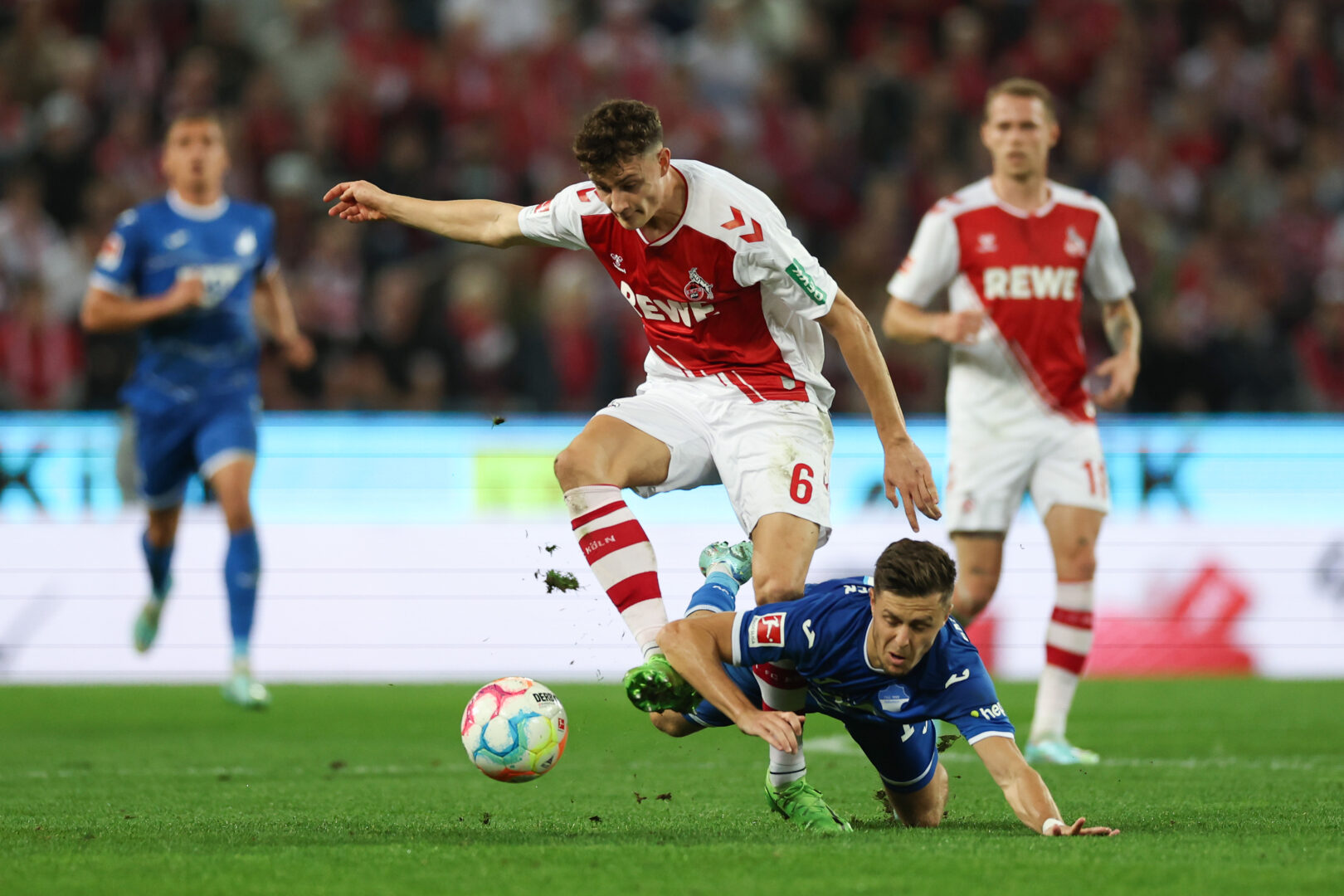 Köln Hoffenheim