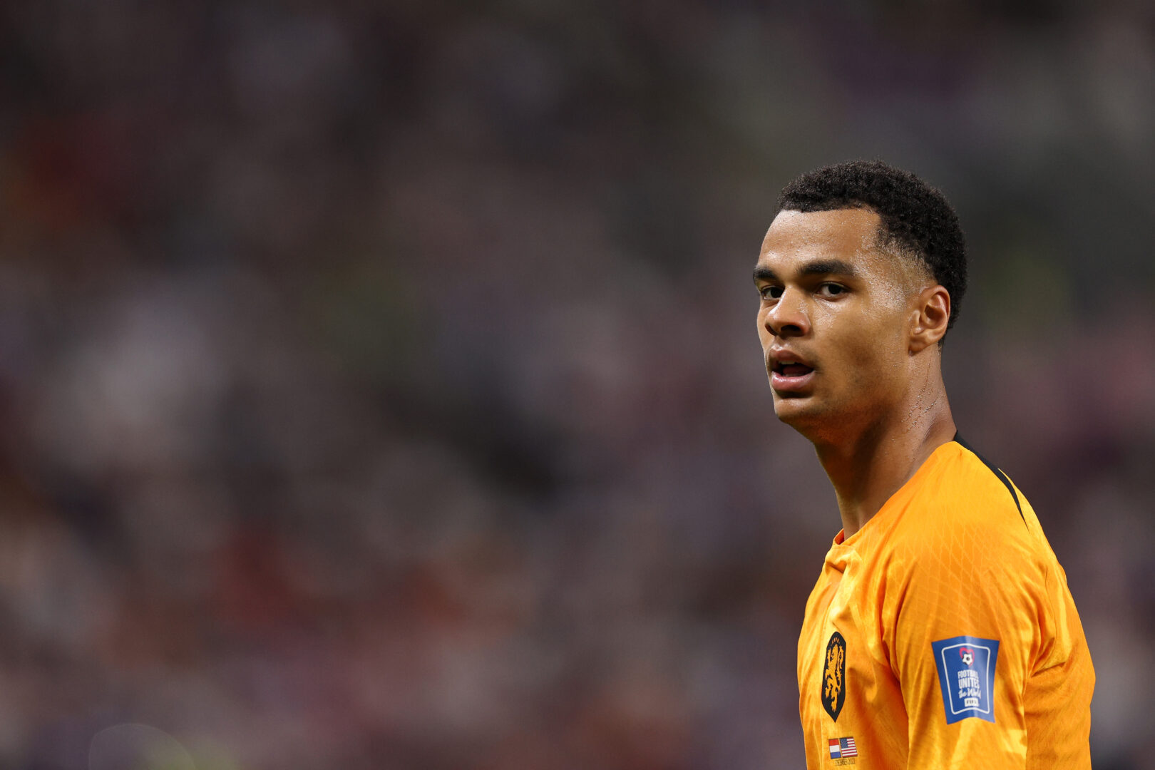 Einigung erzielt – Liverpool vor Gakpo-Coup!