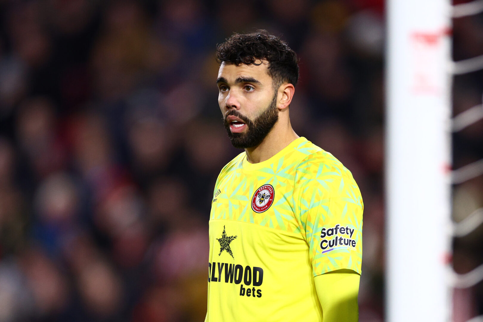 Die Tottenham Hotspur schauen auf David Raya.