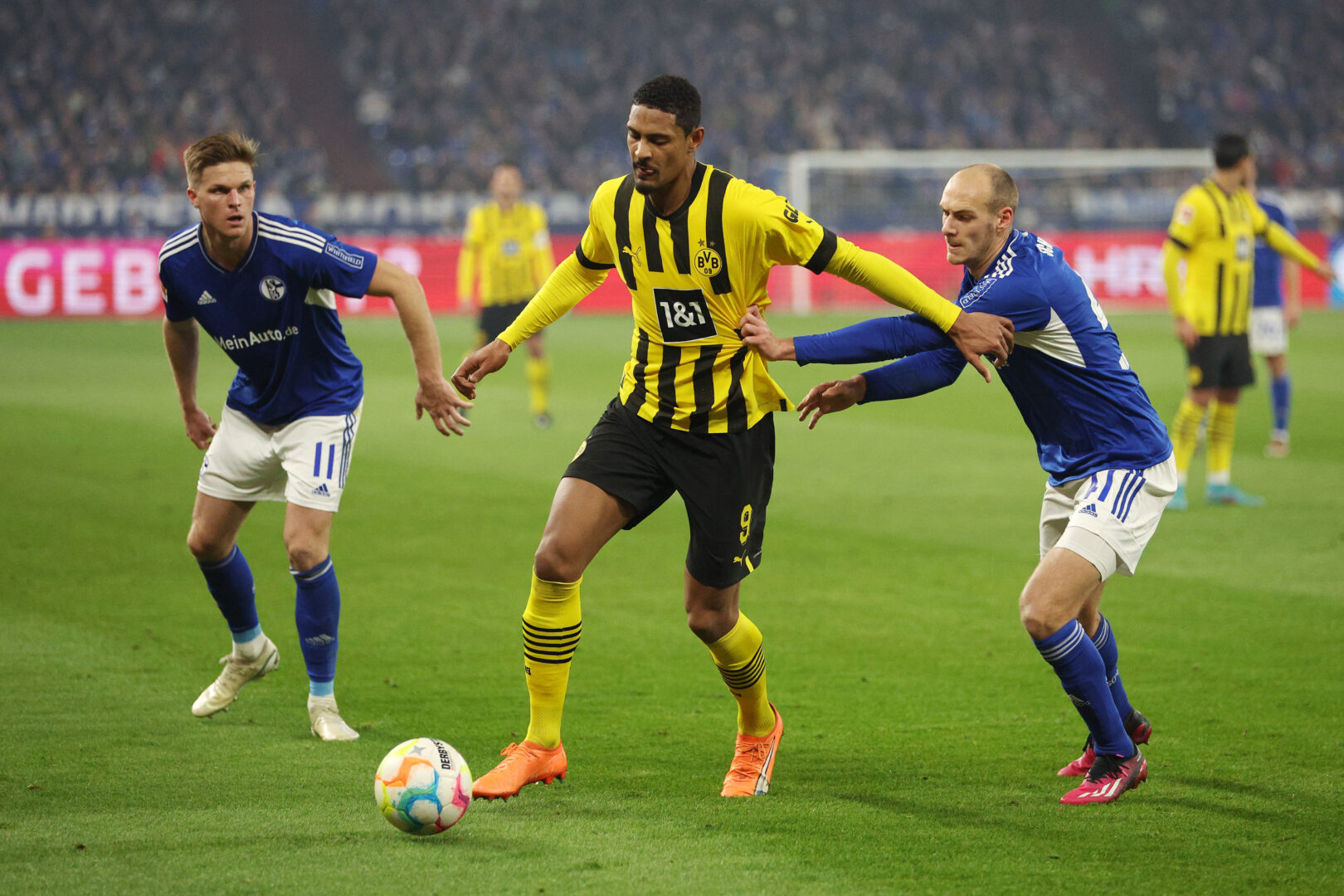 Haller