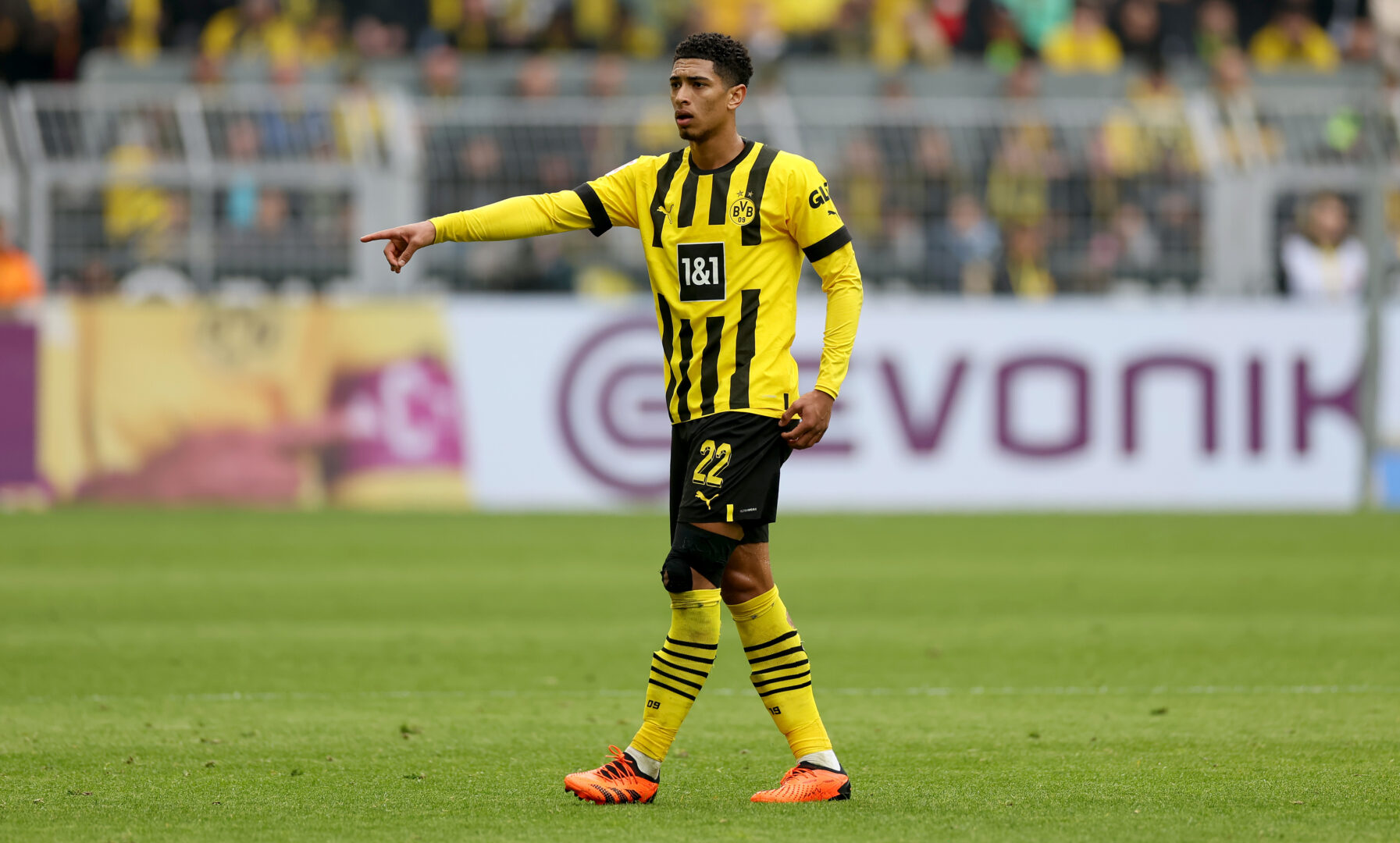 FC Liverpool steigt bei Bellingham aus: Andere Alternativen werden gesucht