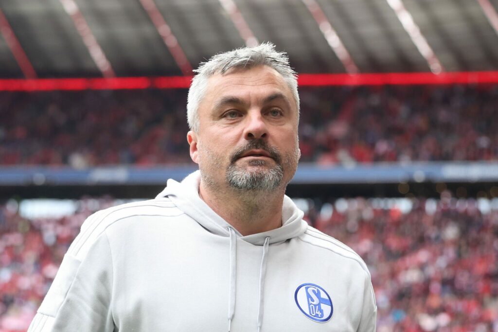 Thomas Reis, Trainer des FC Schalke 04