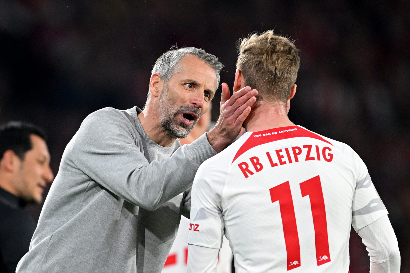 Rose Leipzig Freiburg