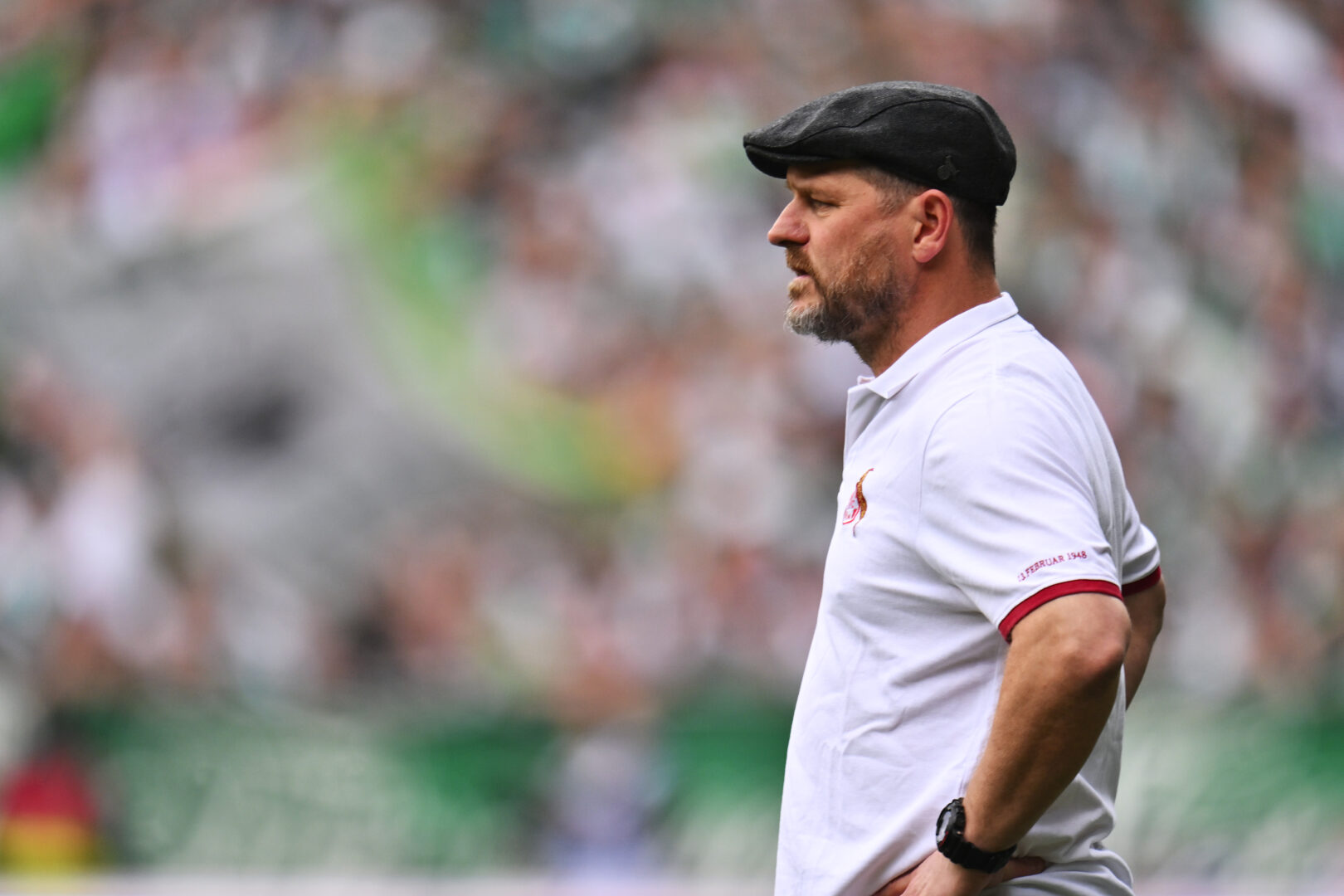 Steffen Baumgart, Trainer des 1. FC Köln