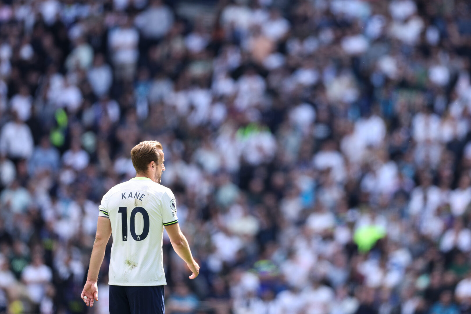 Harry Kane zum FC Bayern: Der richtige Zeitpunkt