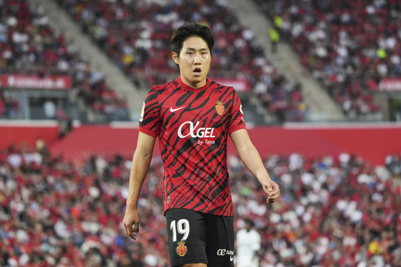 Lee ab sofort in der Ligue 1: Einigung zwischen PSG und Mallorca