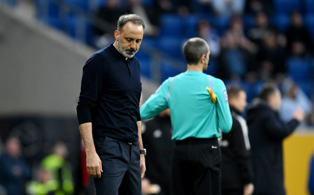 Pellegrino Matarazzo (Bundesliga)