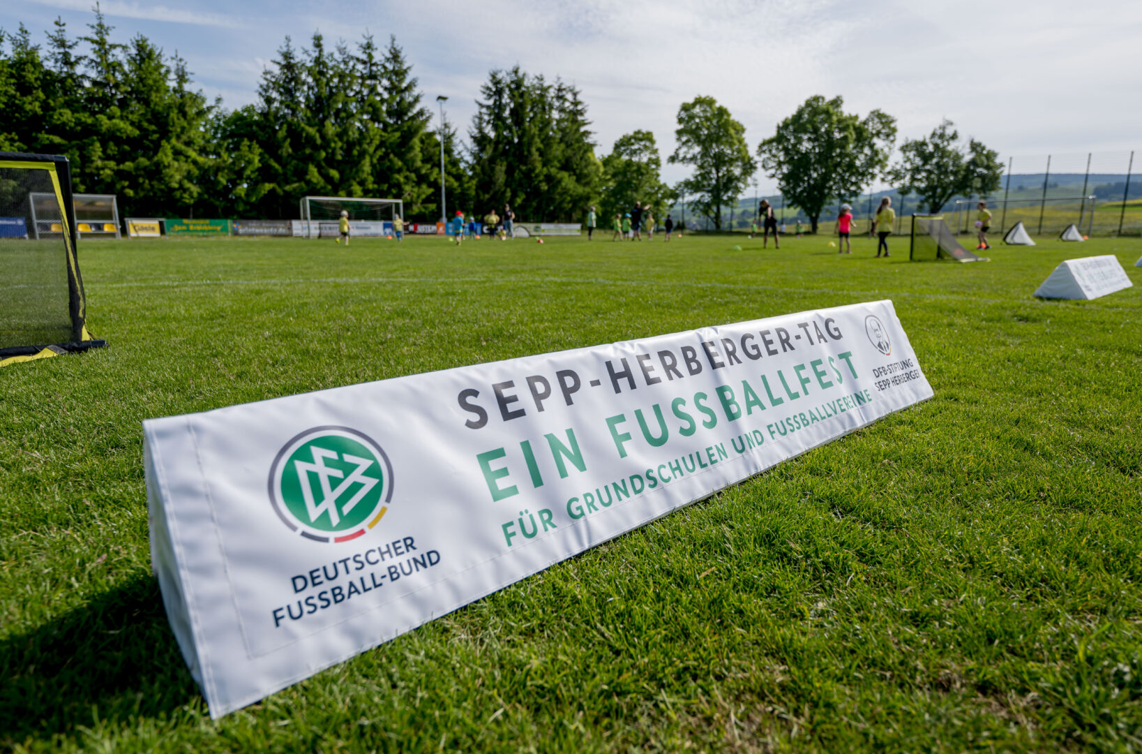 Herberger-Nachlass ist „wertvolles Kulturgut“