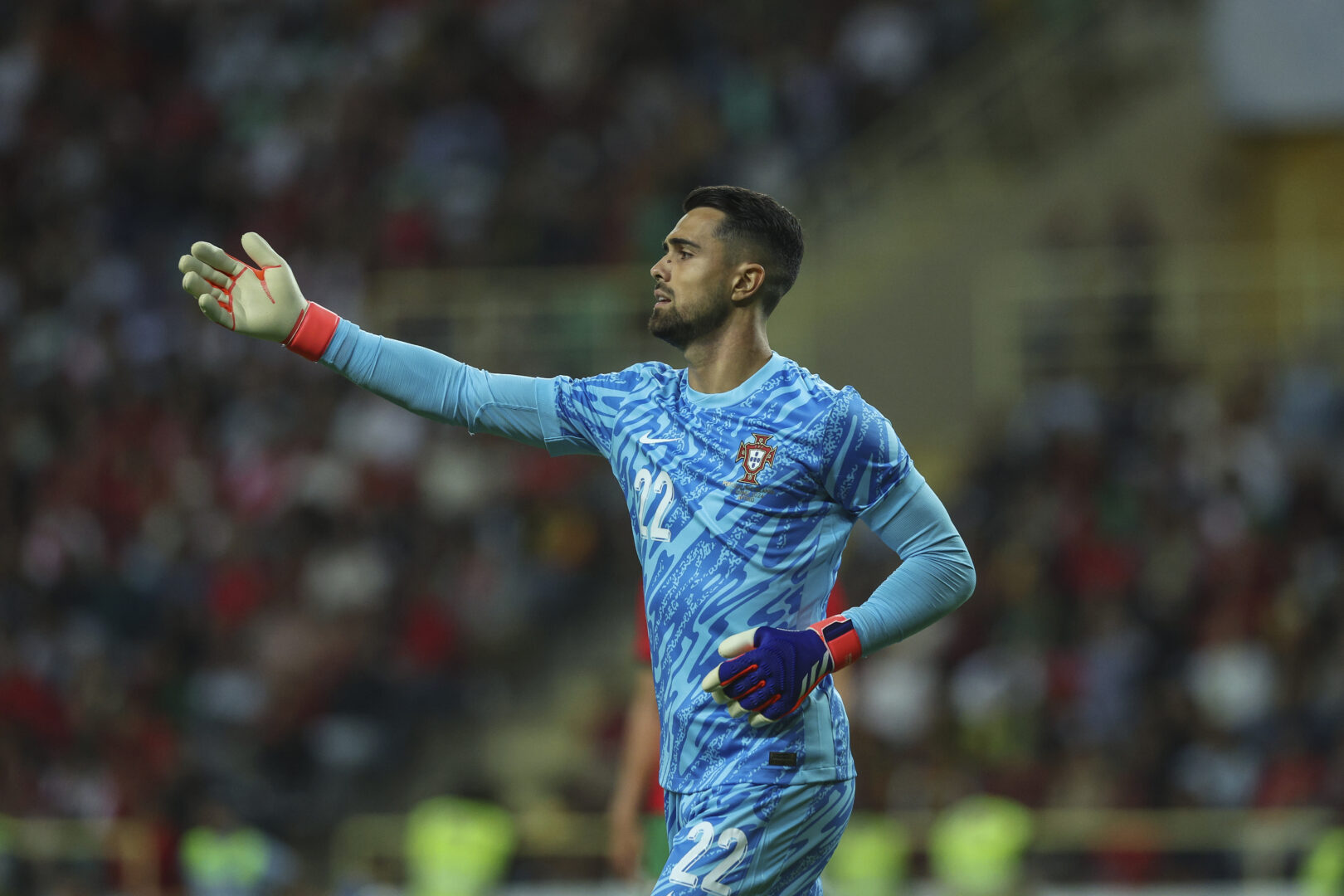 Diogo Costa EM 2024