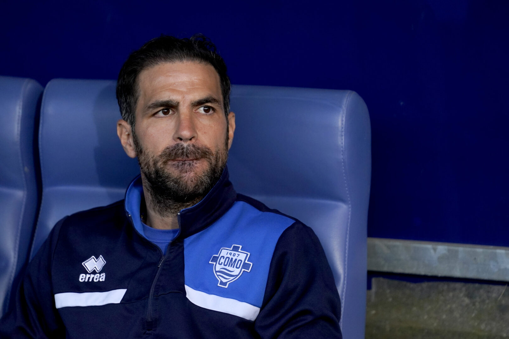 Offiziell: Fabregas wird Cheftrainer von Como 1907