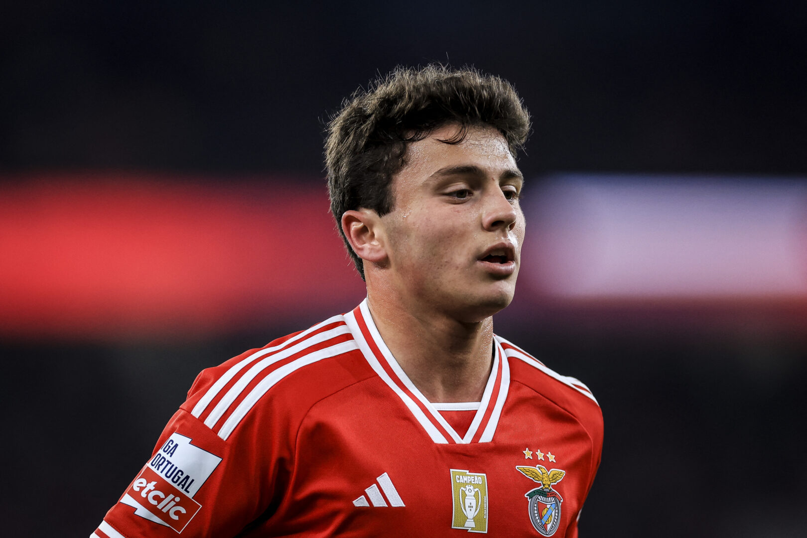 Offiziell: PSG schnappt sich Benfica-Talent Joao Neves