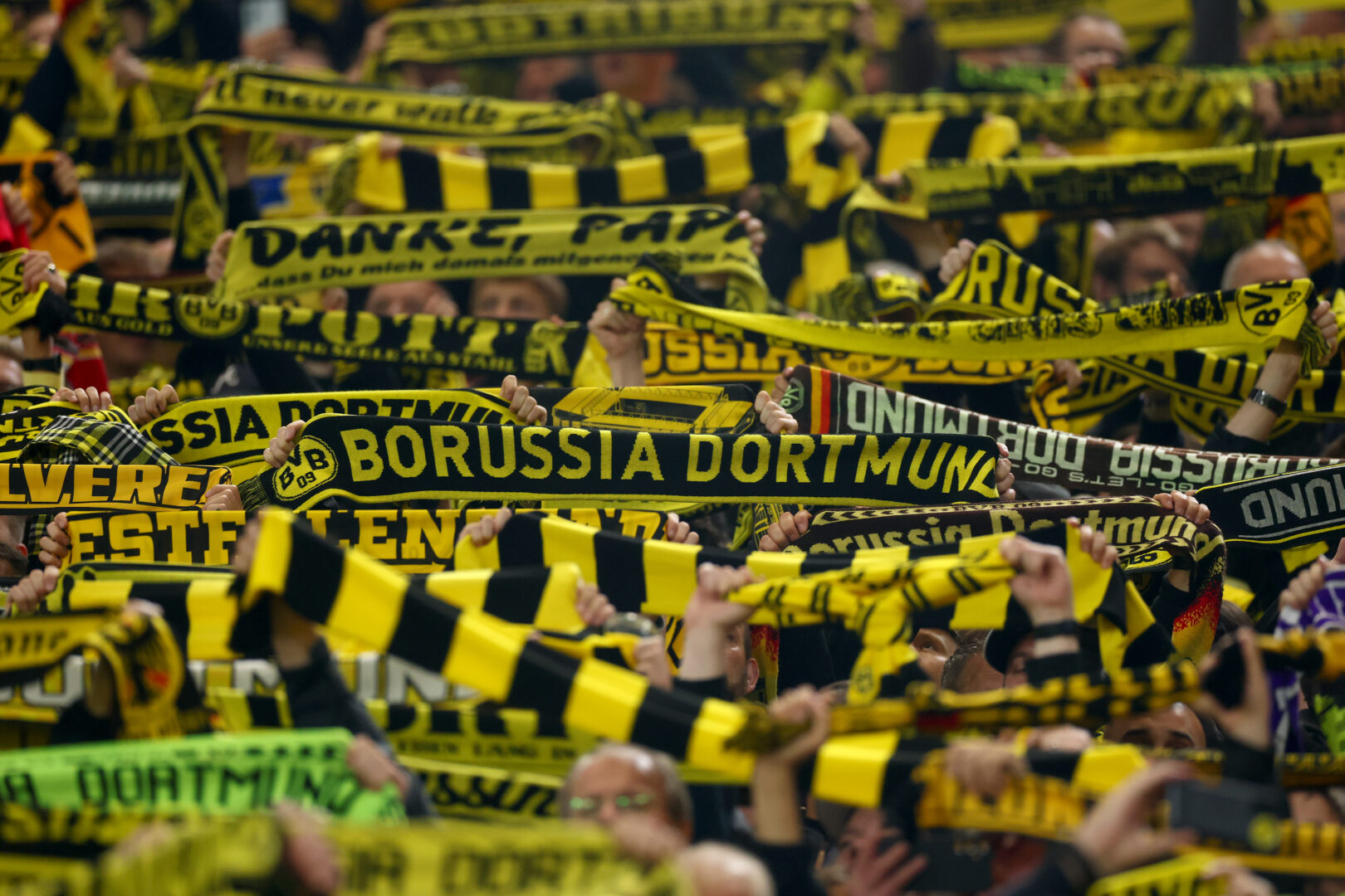 BVB Champions League