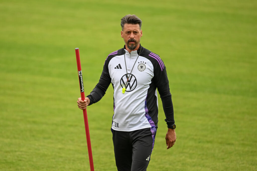Sandro Wagner Hoffenheim