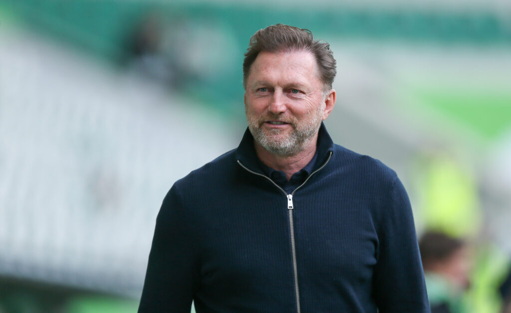 Hasenhüttl Wolfsburg