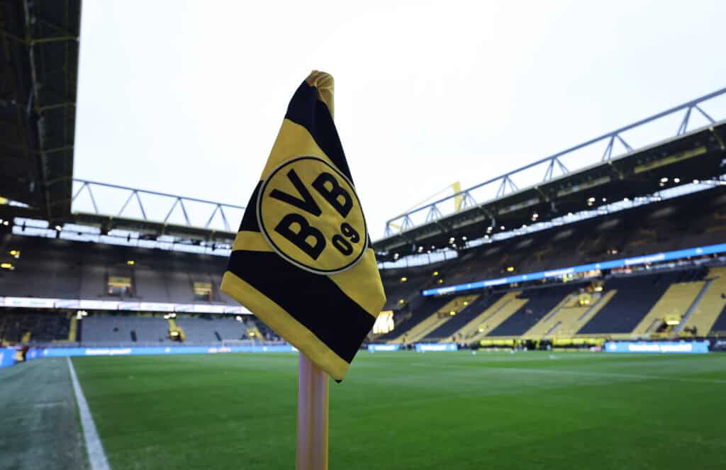 BVB Hoffenheim