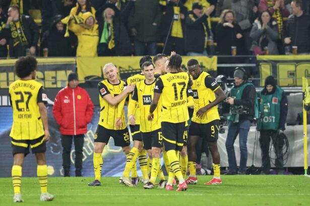Der BVB trifft in der Champions League auf den OSC Lille.
