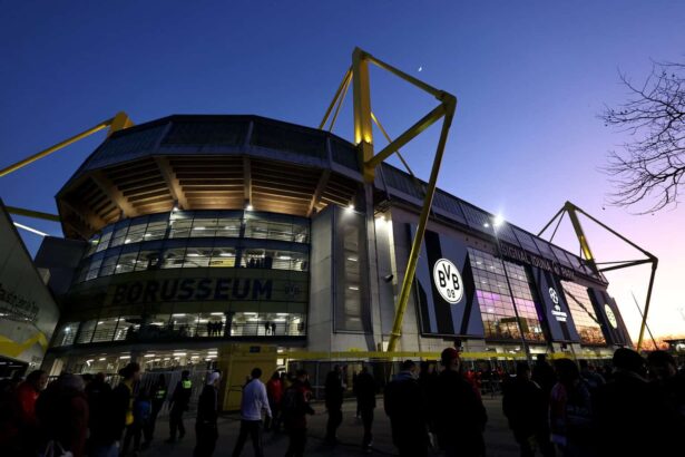 BVB Champions League