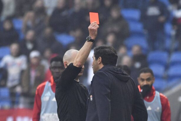 Paulo Fonseca, Olympique Lyon
