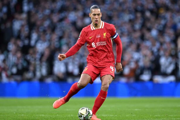 Virgil Van Dijk, Liverpool