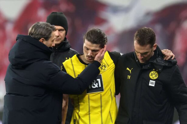 Sabitzer BVB