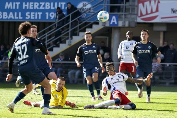 HSV 2. Bundesliga