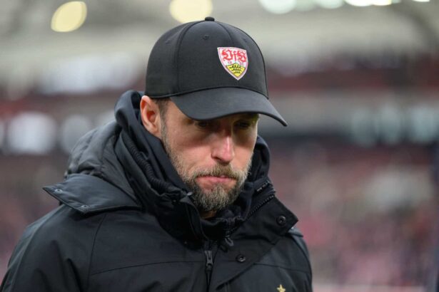 Sebastian Hoeneß, VfB Stuttgart