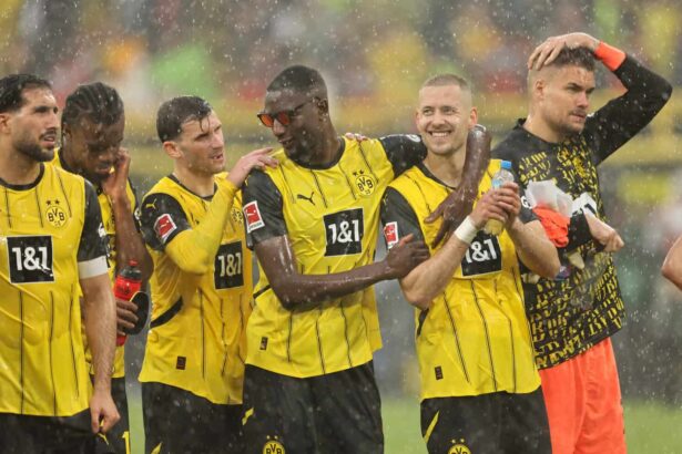 Guirassy Hamann BVB
