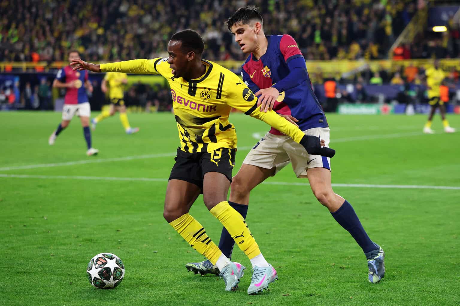 Chelsea baggert an BVB-Star Gittens: Gespräche laufen bereits im Hintergrund!