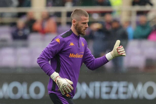 de Gea Fiorentina