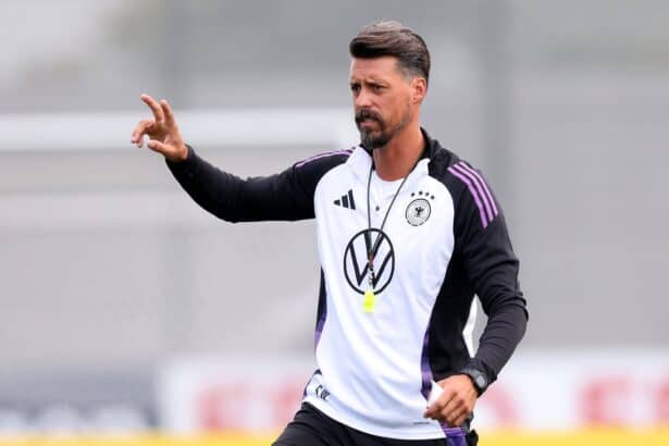 Sandro Wagner