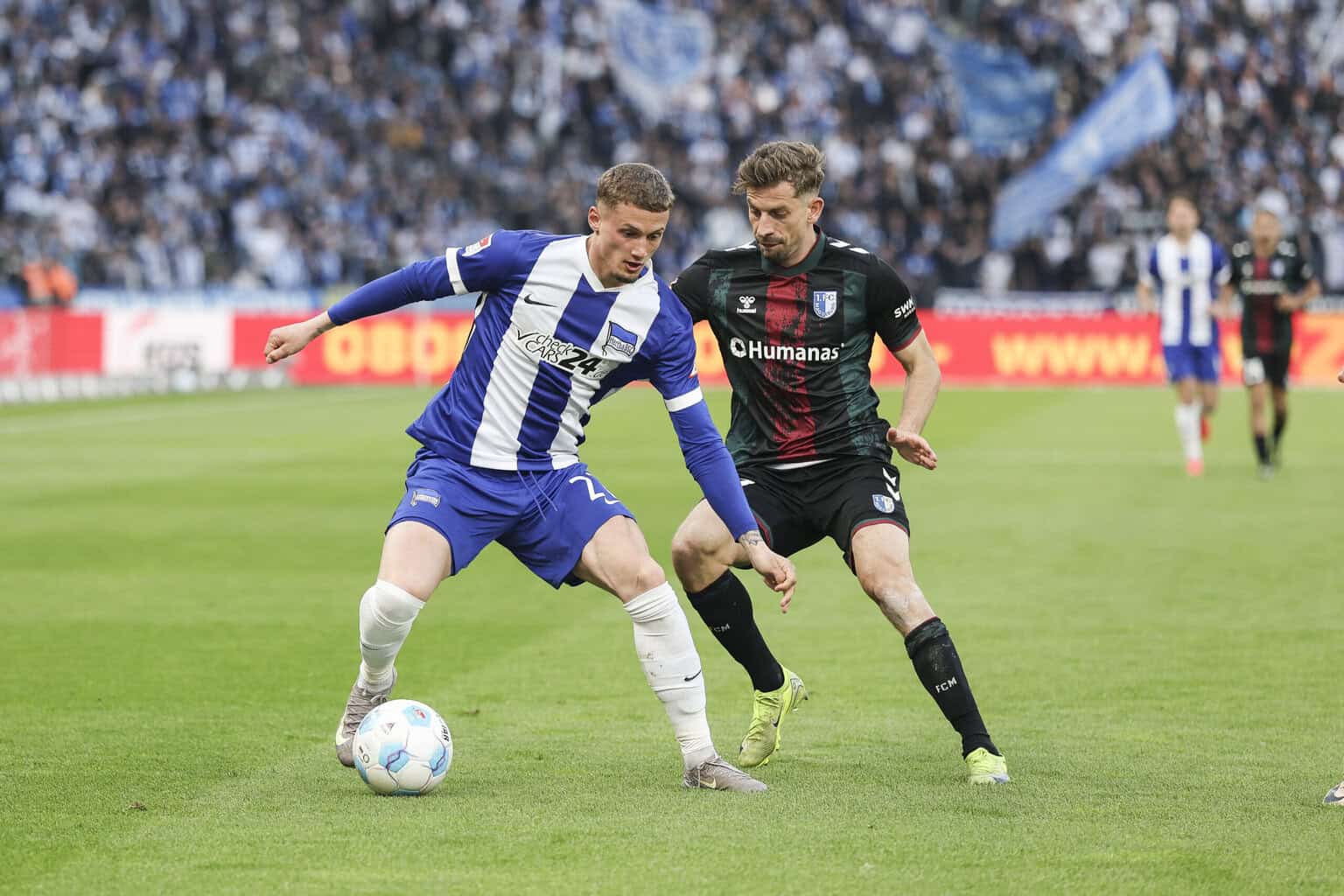 Wichtiges Zeichen: Cuisance verlängert langfristig bei Hertha BSC