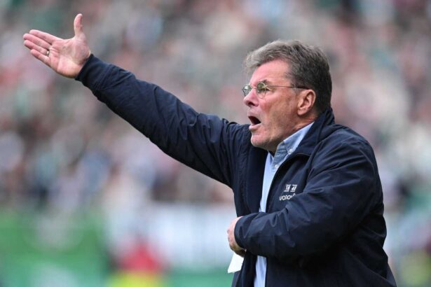 Dieter Hecking