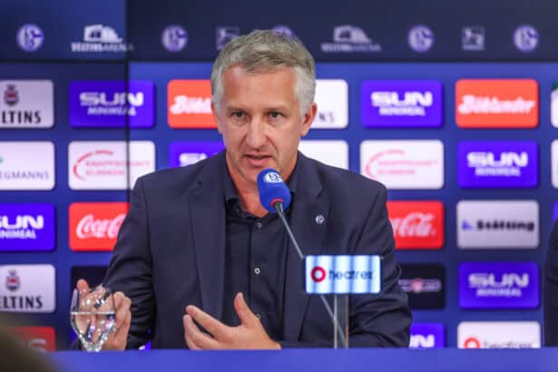 Frank Baumann, Schalke