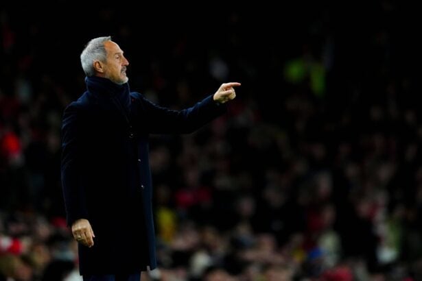 Ligue 1: Adi Hütter