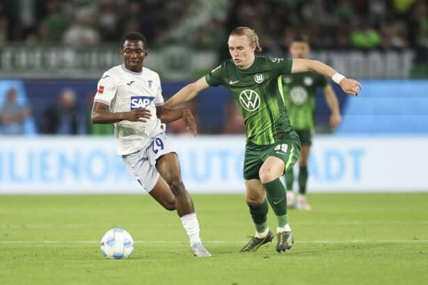 VfL Wolfsburg, TSG Hoffenheim