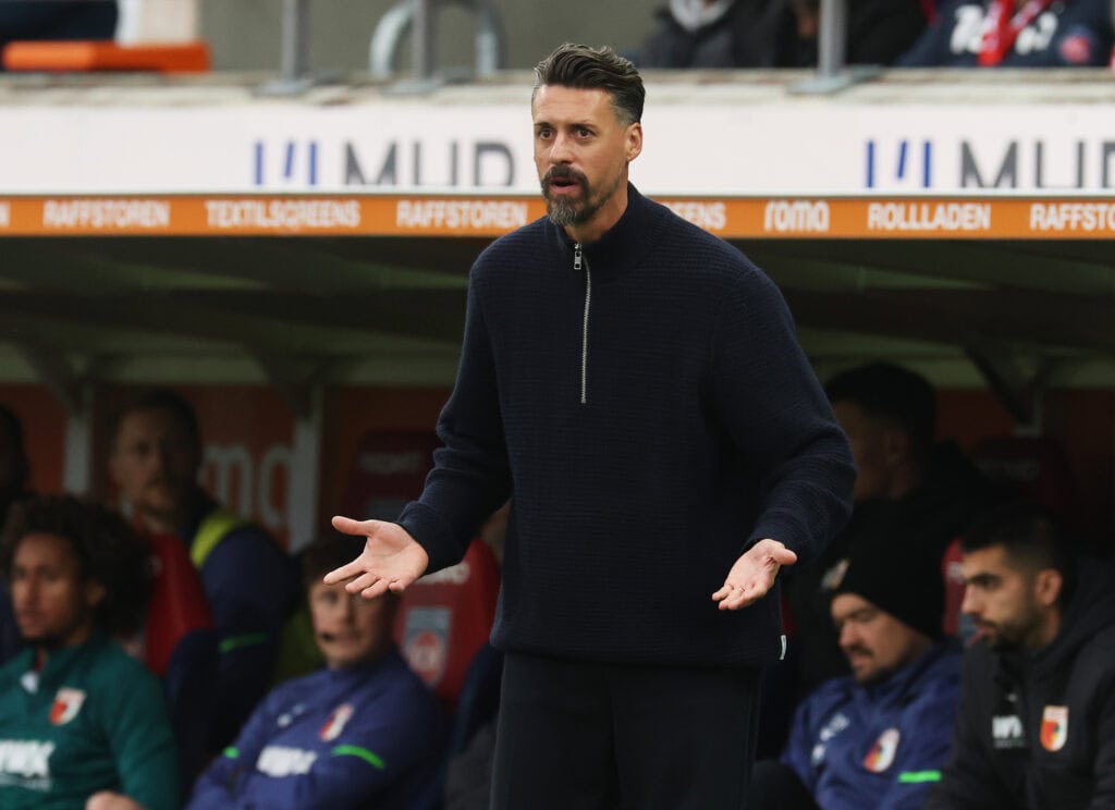 Sandro Wagner