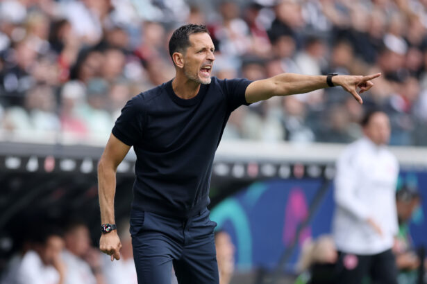 Eintracht Frankfurt, Dino Toppmöller