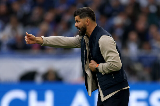 Schalke 04, Miron Muslic