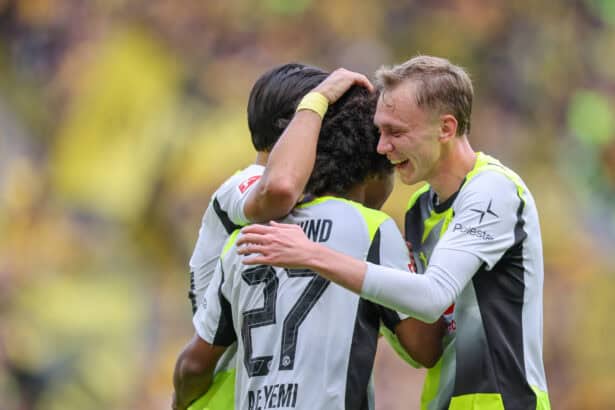 Borussia Dortmund, Bundesliga