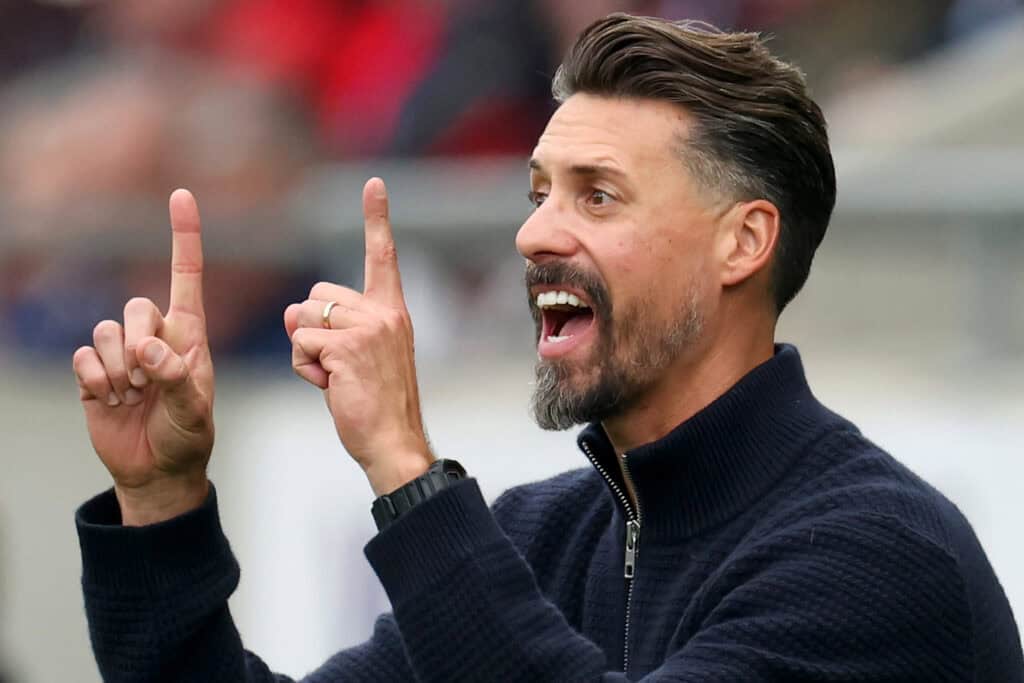 Bundesliga: Sandro Wagner