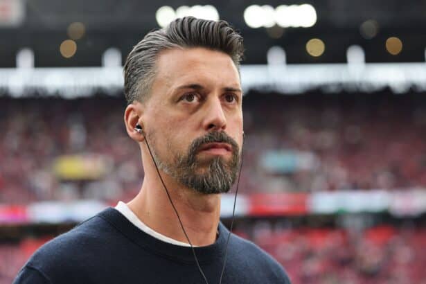 Sandro Wagner
