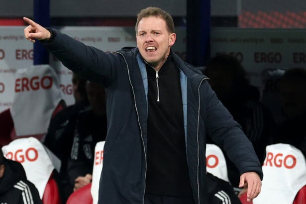 Julian Nagelsmann, DFB-Team