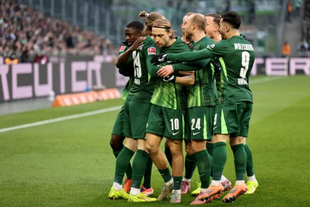 VfL Wolfsburg, Bundesliga