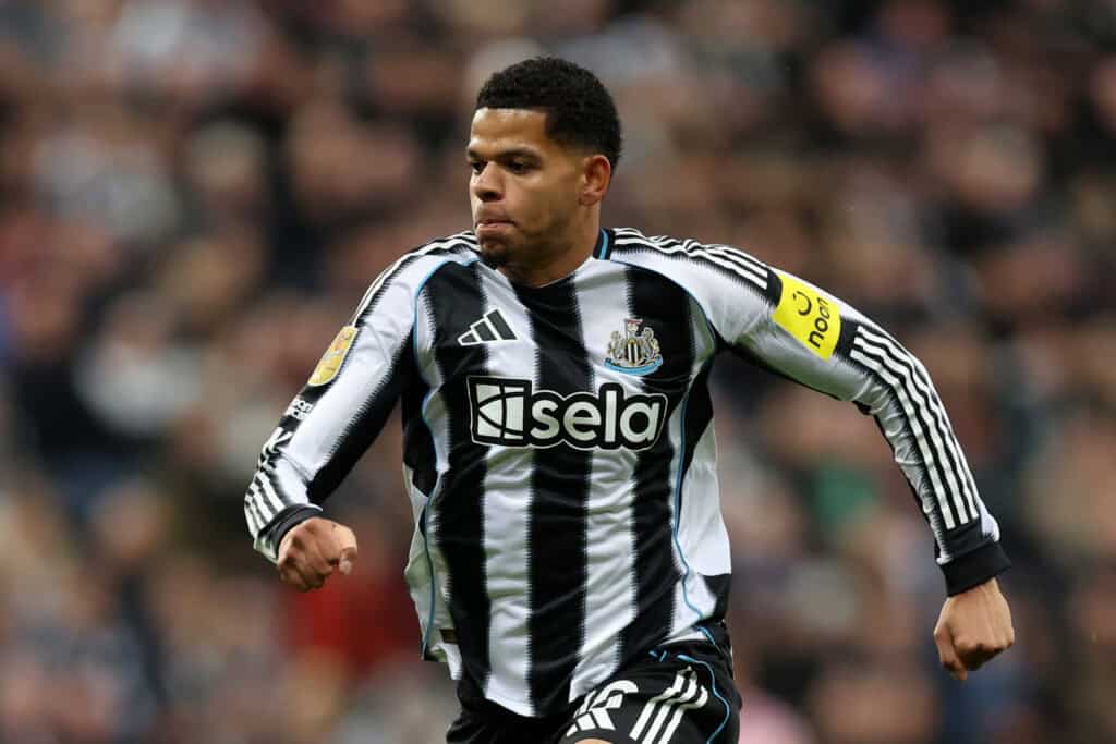 William Osula, Frankfurt